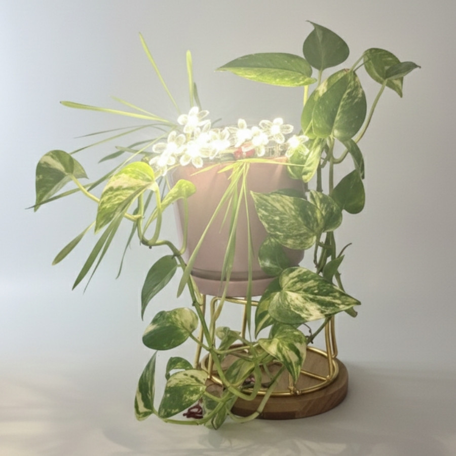 Flower Shaped Lights - Single Petal 20LEDS (Battery)